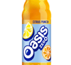 Oasis Citrus Punch 500ml